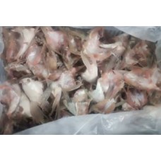 Калтык судака